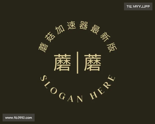 解读蘑菇加速器最新版