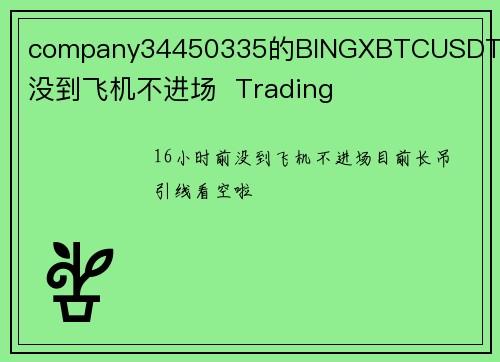 company34450335的BINGXBTCUSDTPS的没到飞机不进场  Trading