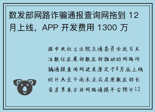 数发部网路诈骗通报查询网拖到 12 月上线，APP 开发费用 1300 万